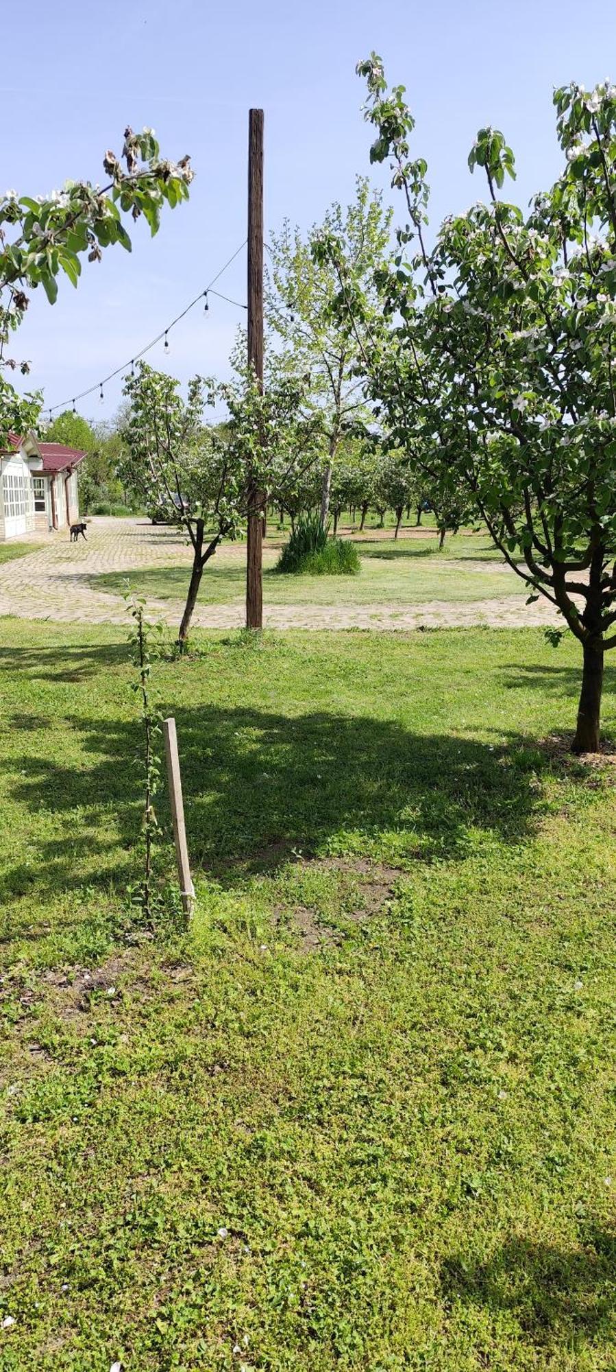Salas Farma 47-Miris Dunja Cenej Exteriör bild