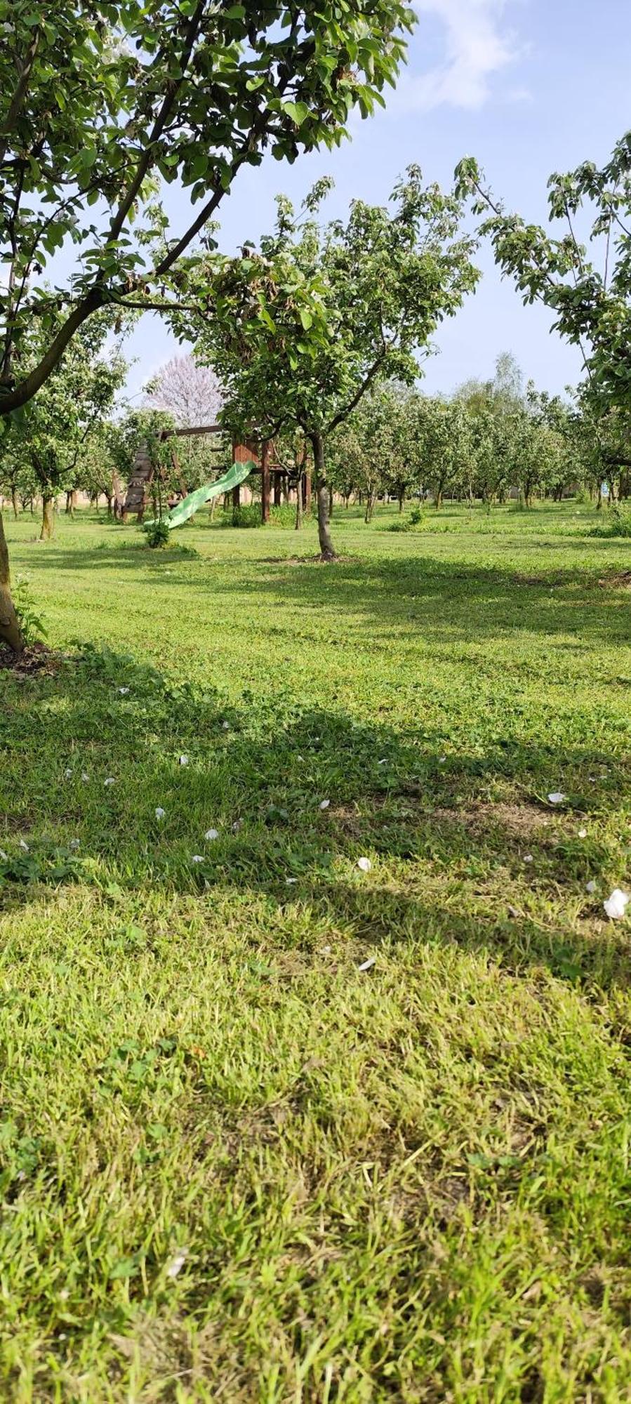 Salas Farma 47-Miris Dunja Cenej Exteriör bild