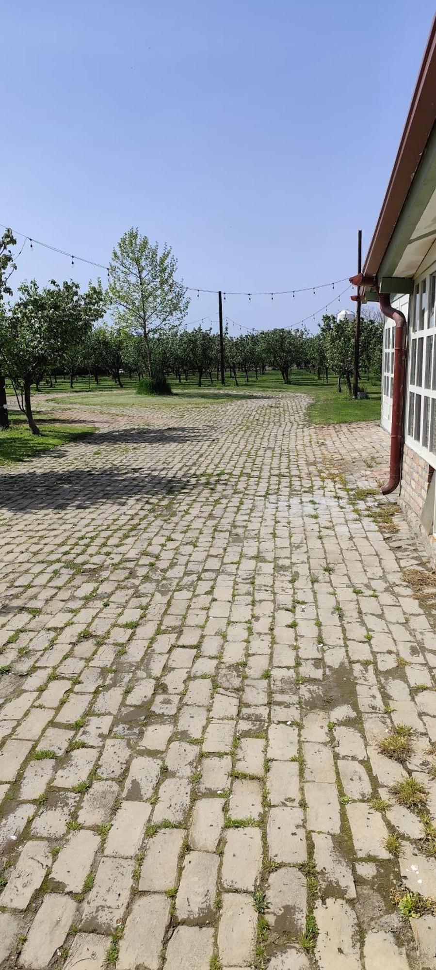 Salas Farma 47-Miris Dunja Cenej Exteriör bild