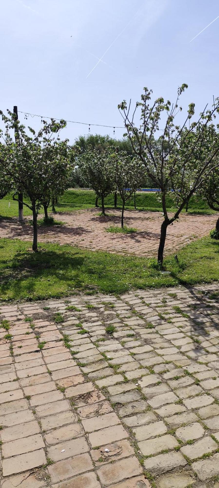 Salas Farma 47-Miris Dunja Cenej Exteriör bild