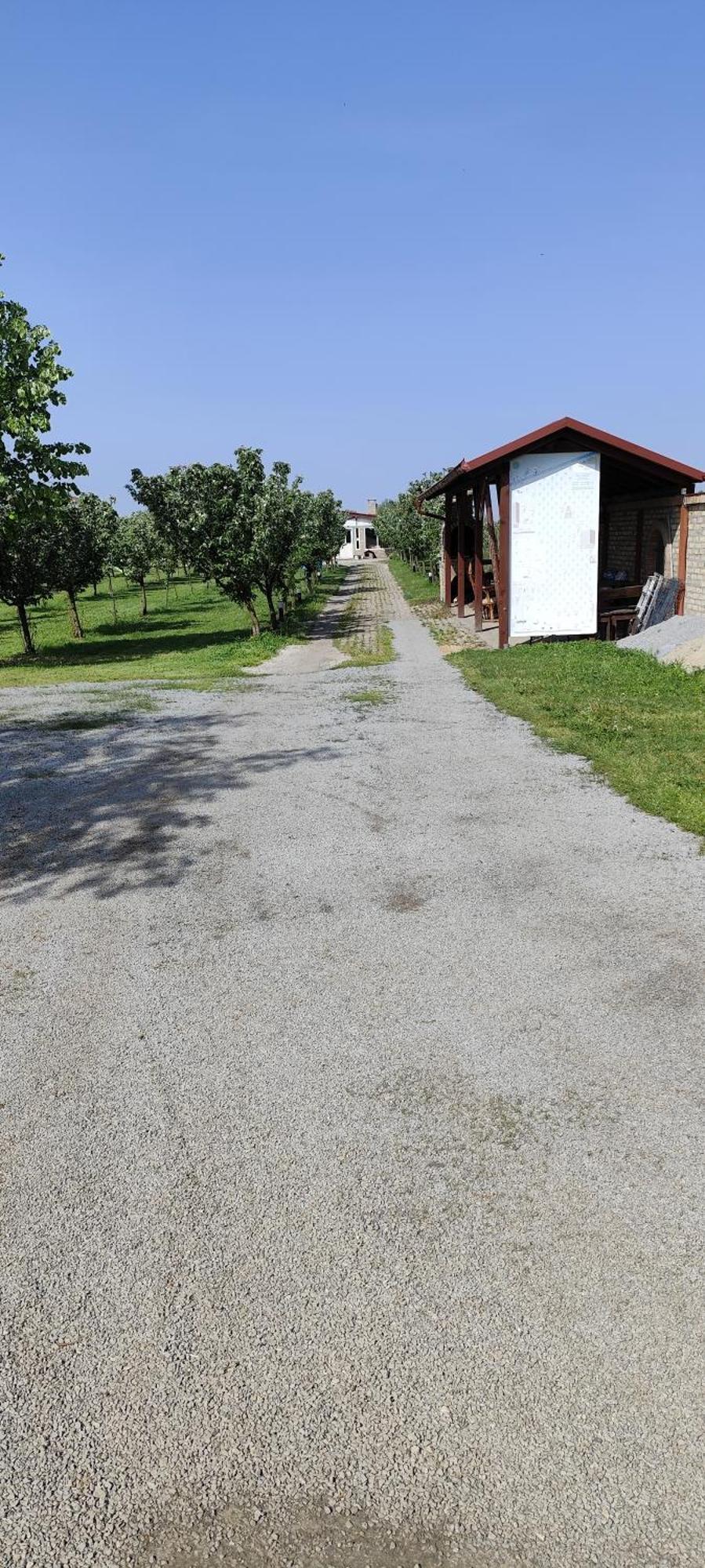 Salas Farma 47-Miris Dunja Cenej Exteriör bild