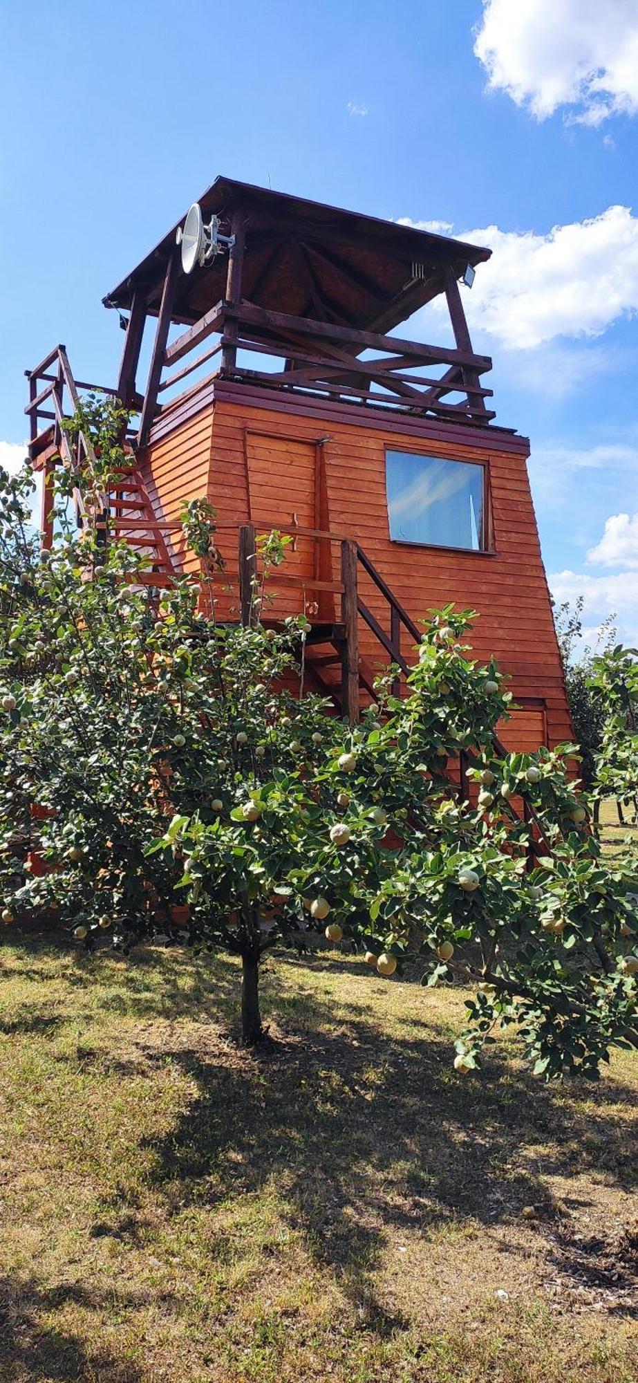 Salas Farma 47-Miris Dunja Cenej Exteriör bild