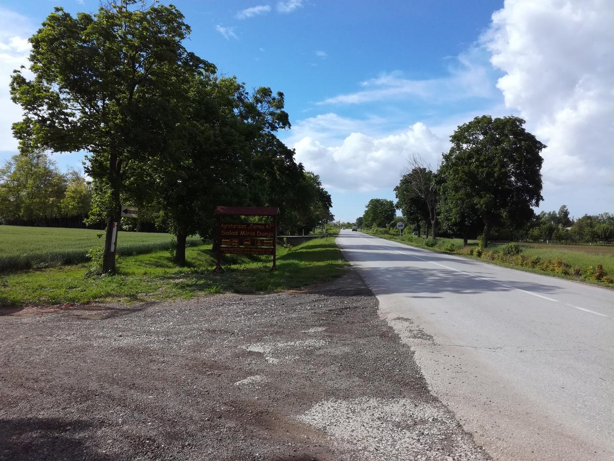 Salas Farma 47-Miris Dunja Cenej Exteriör bild